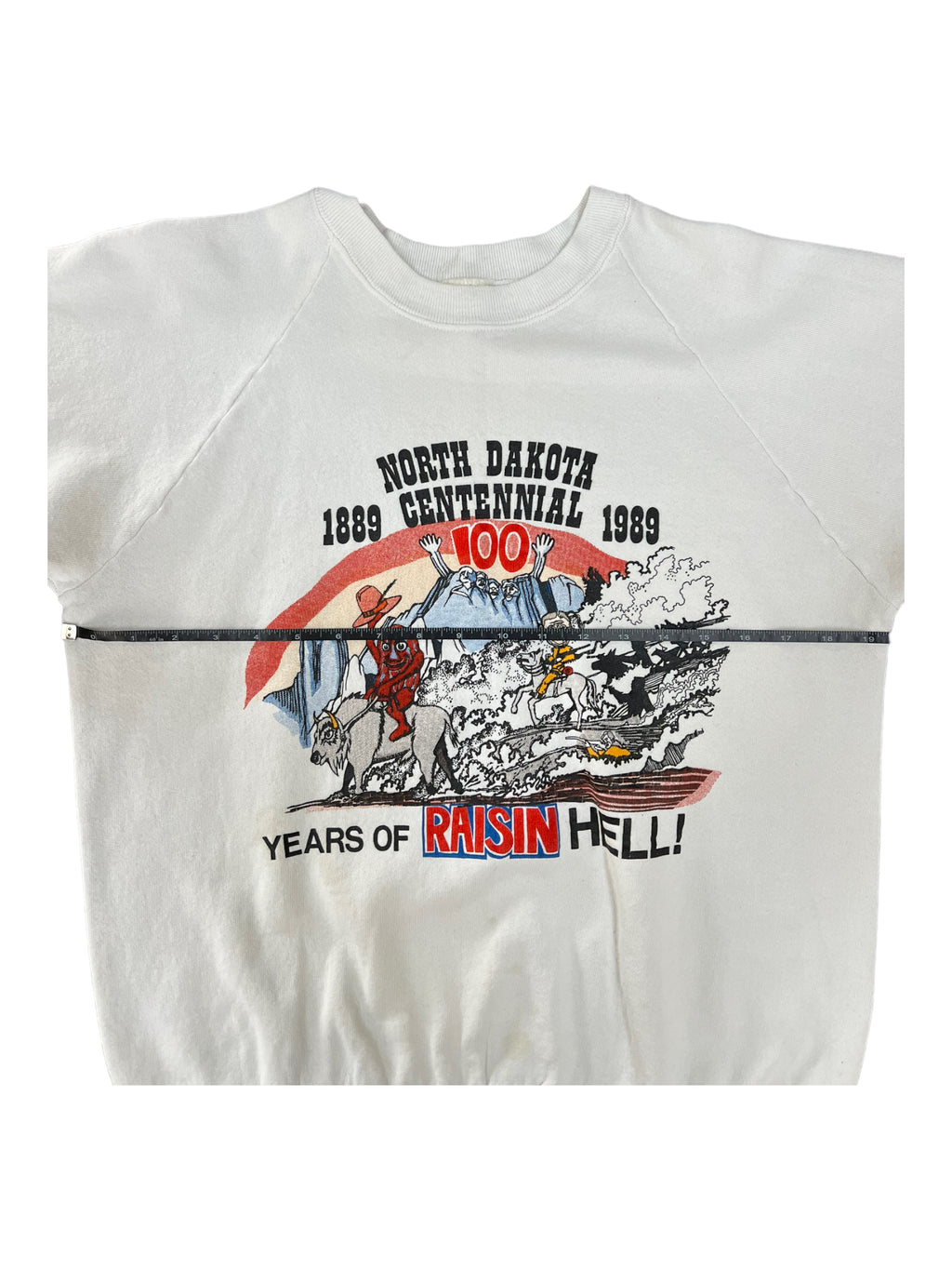 CALIFORNIA RAISINS 80s NORTH DAKOTA CENTENNIAL RAGLAN CREWNECK Size Large