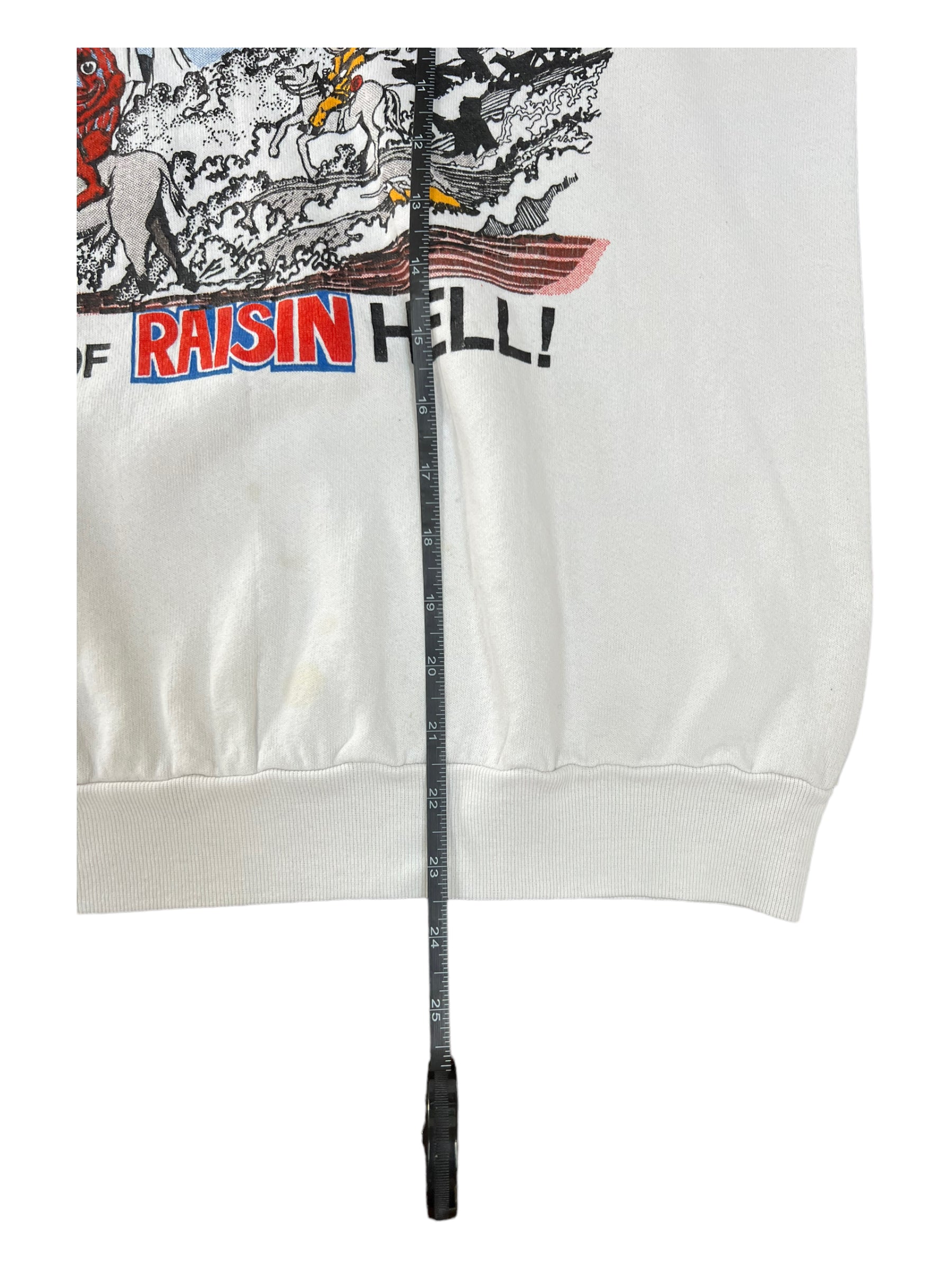 CALIFORNIA RAISINS 80s NORTH DAKOTA CENTENNIAL RAGLAN CREWNECK Size Large