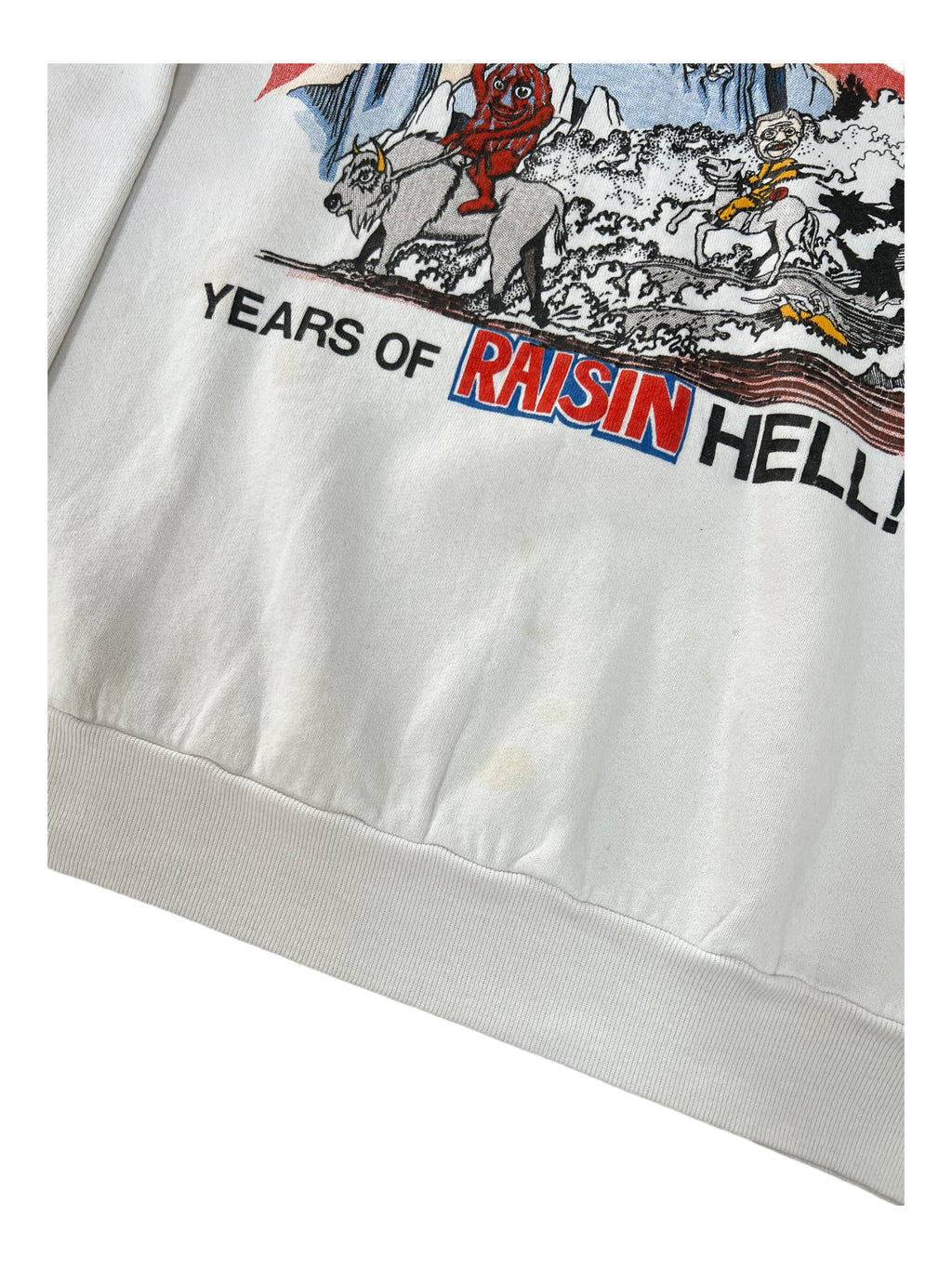 CALIFORNIA RAISINS 80s NORTH DAKOTA CENTENNIAL RAGLAN CREWNECK Size Large