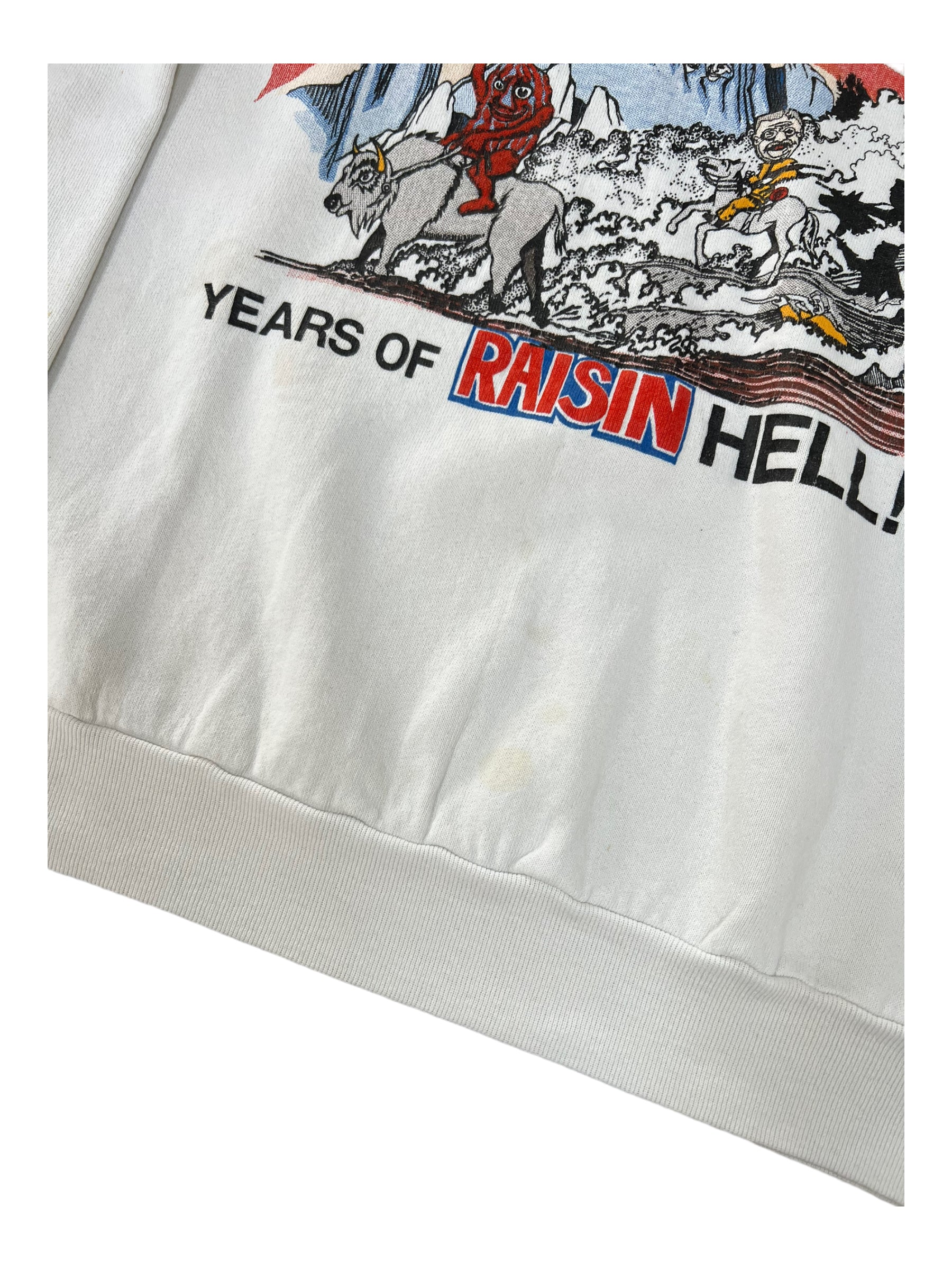 CALIFORNIA RAISINS 80s NORTH DAKOTA CENTENNIAL RAGLAN CREWNECK Size Large