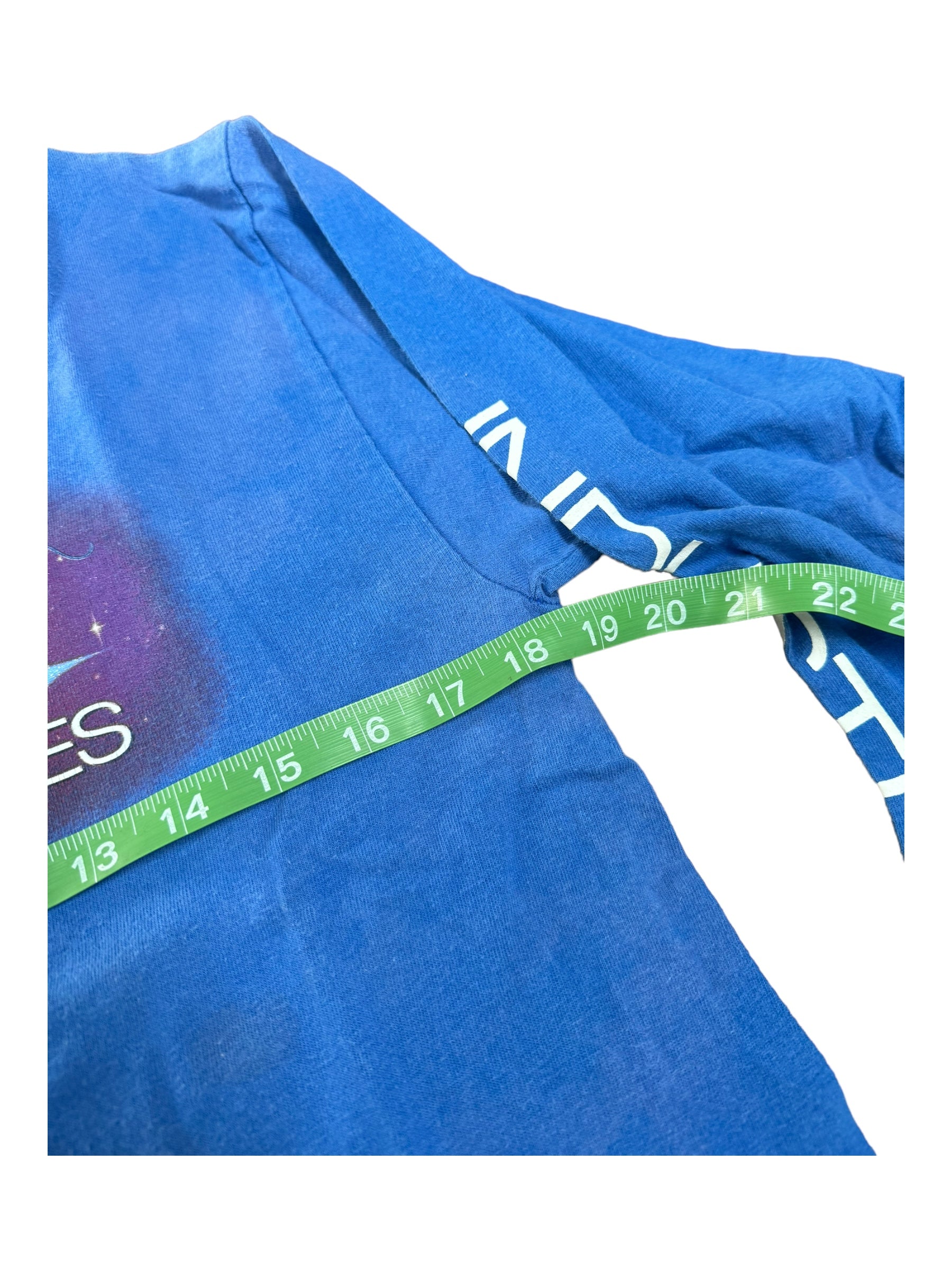 World Industries 00s Blue Longsleeve Flameboy Vs. Wet Willy Size Small