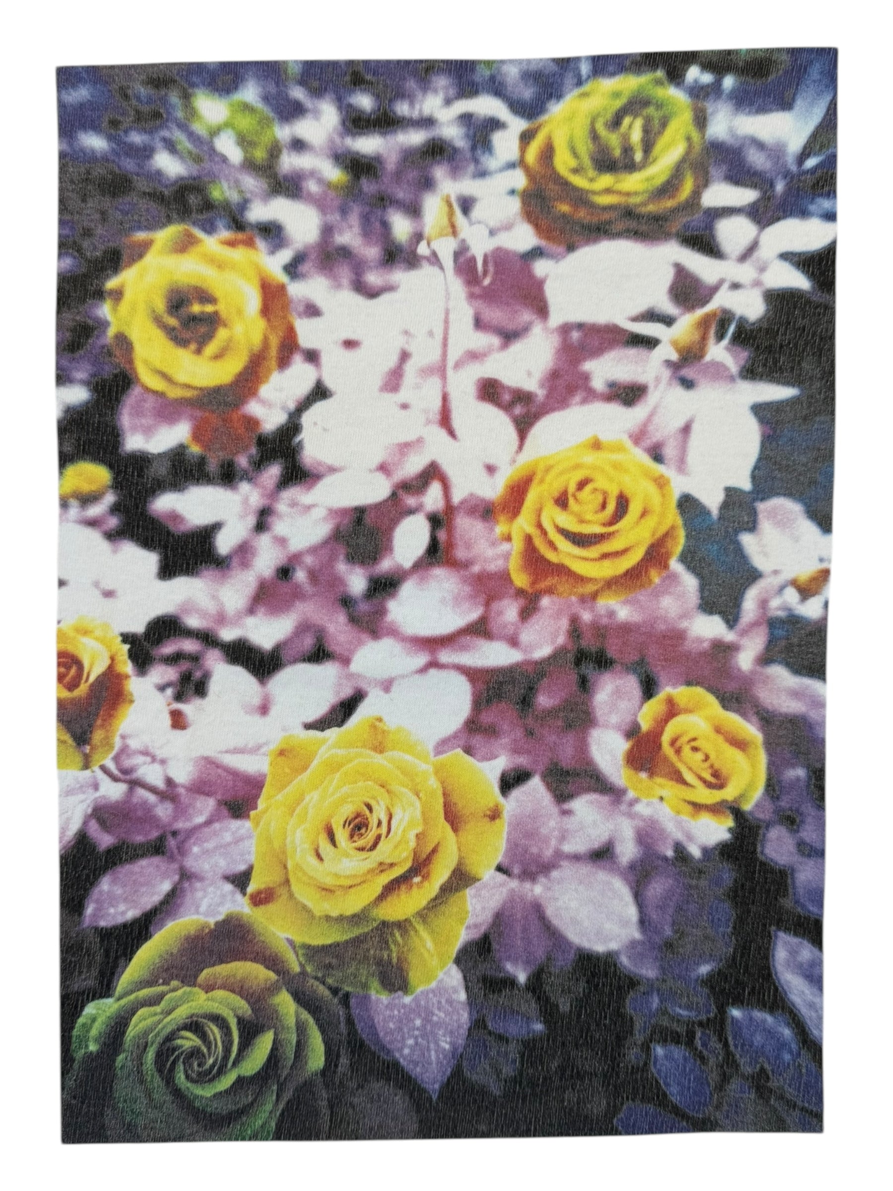 Bape 2002 Bape Gallery Hiroshi Nomura Photo Exhibition Size Medium