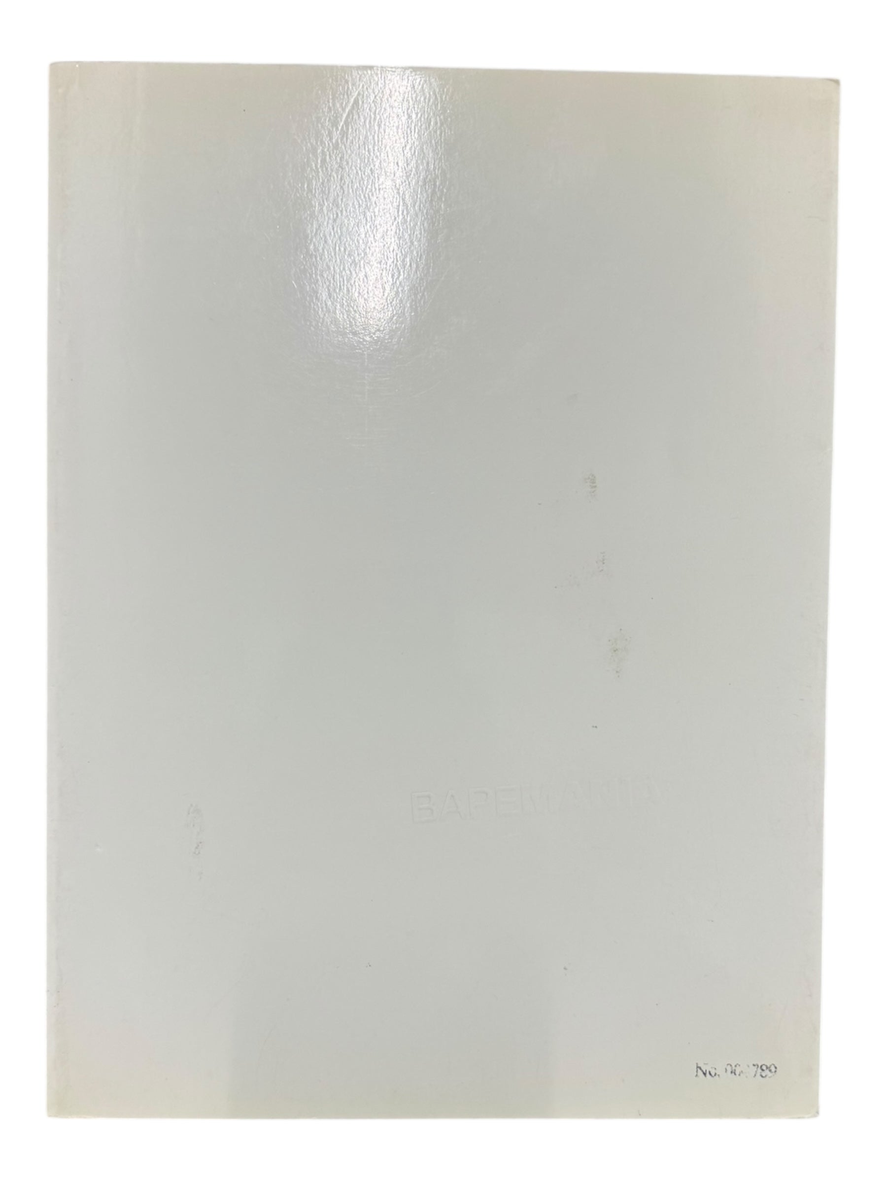 A Bathing Ape 1999 Bapemania Spring/Summer Collection Book