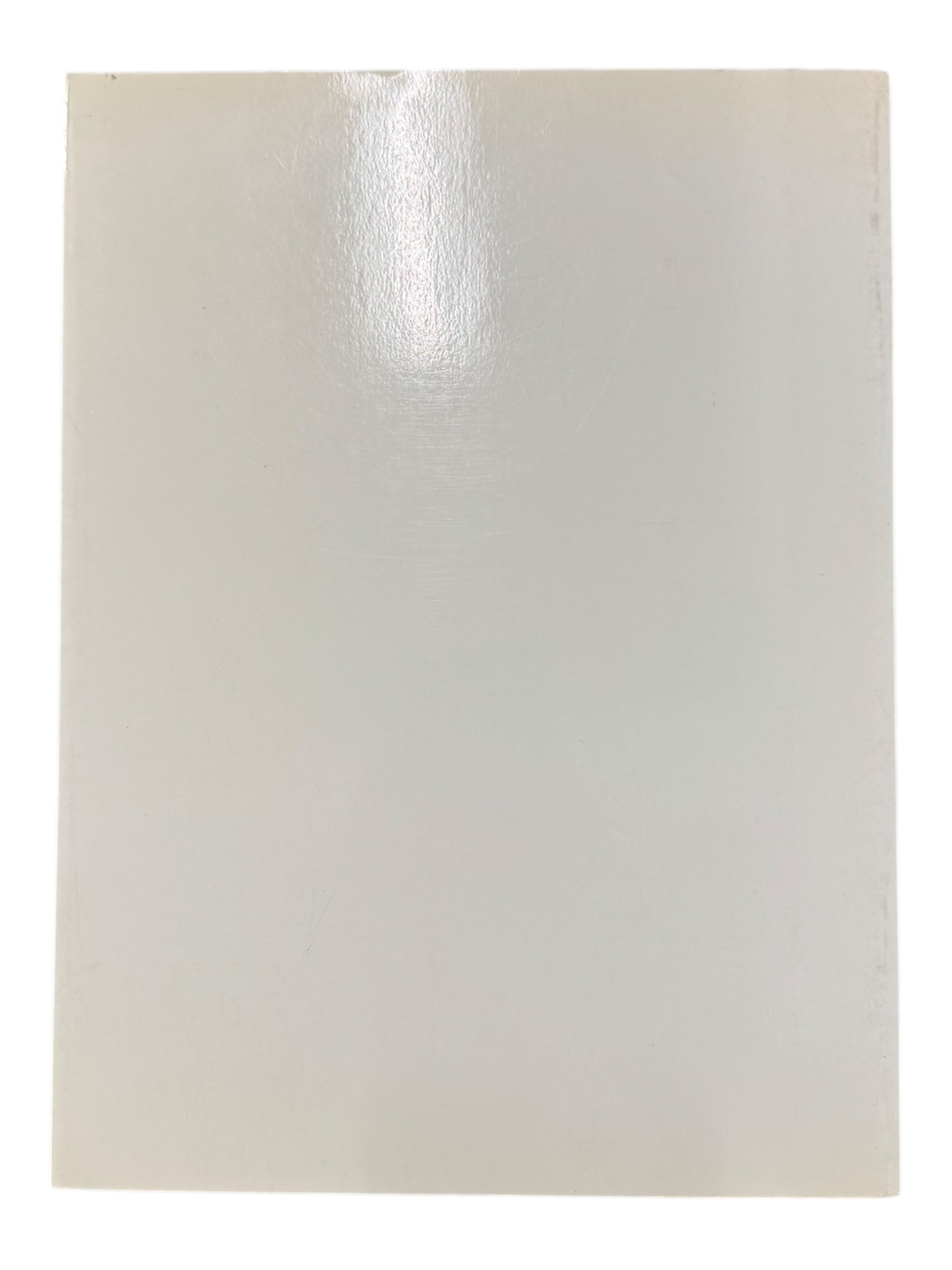 A Bathing Ape 1999 Bapemania Spring/Summer Collection Book