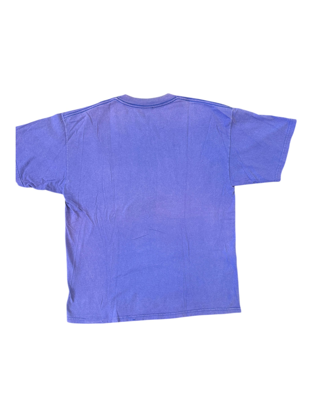 Shorty's 00s Blue Legalize Skateboarding Size XL