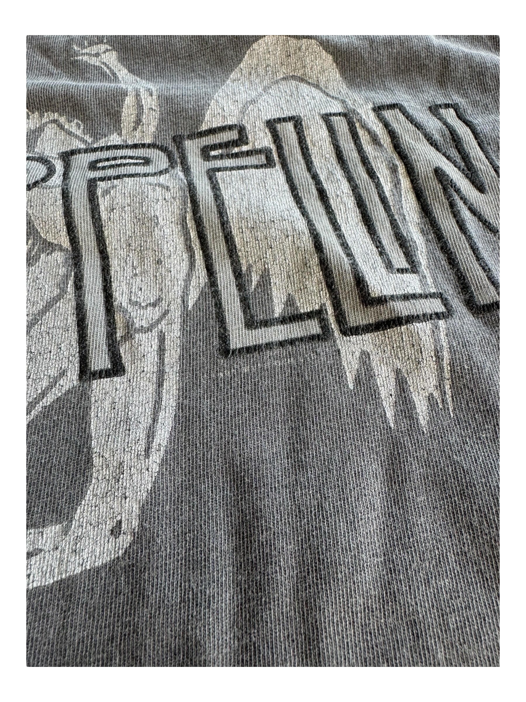 Led Zeppelin 90s Grey Hanes Beefy Tag Size XL