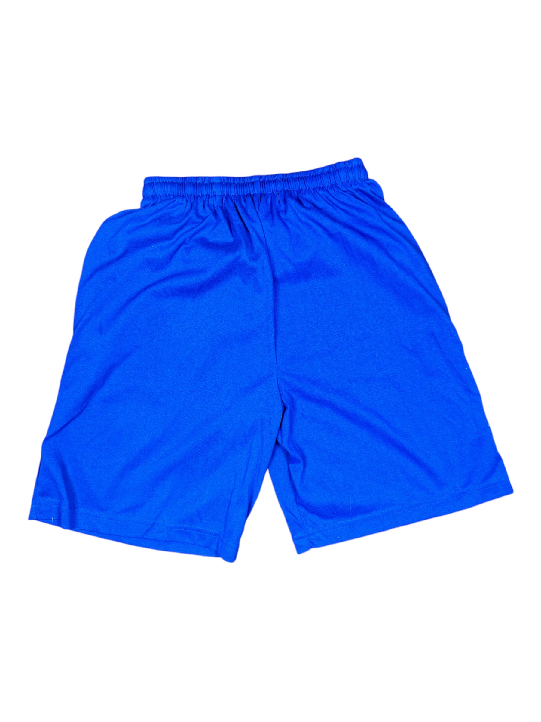 Ramones Tour Shorts Blue Size XL 90s Made in USA