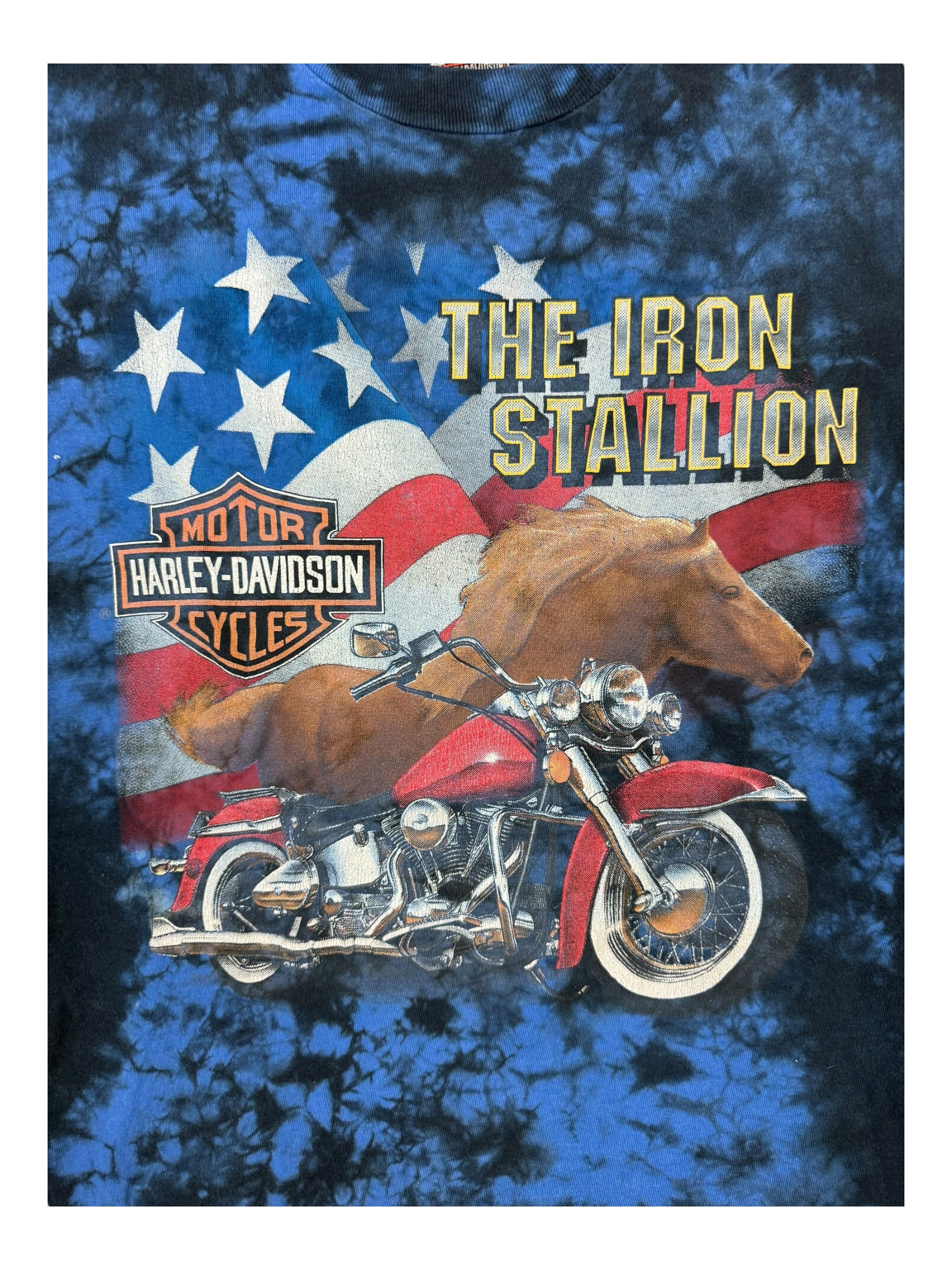 Harley Davidson 90s Blue Tie Dye Eagles T-shirt Hanes Beefy Size Large