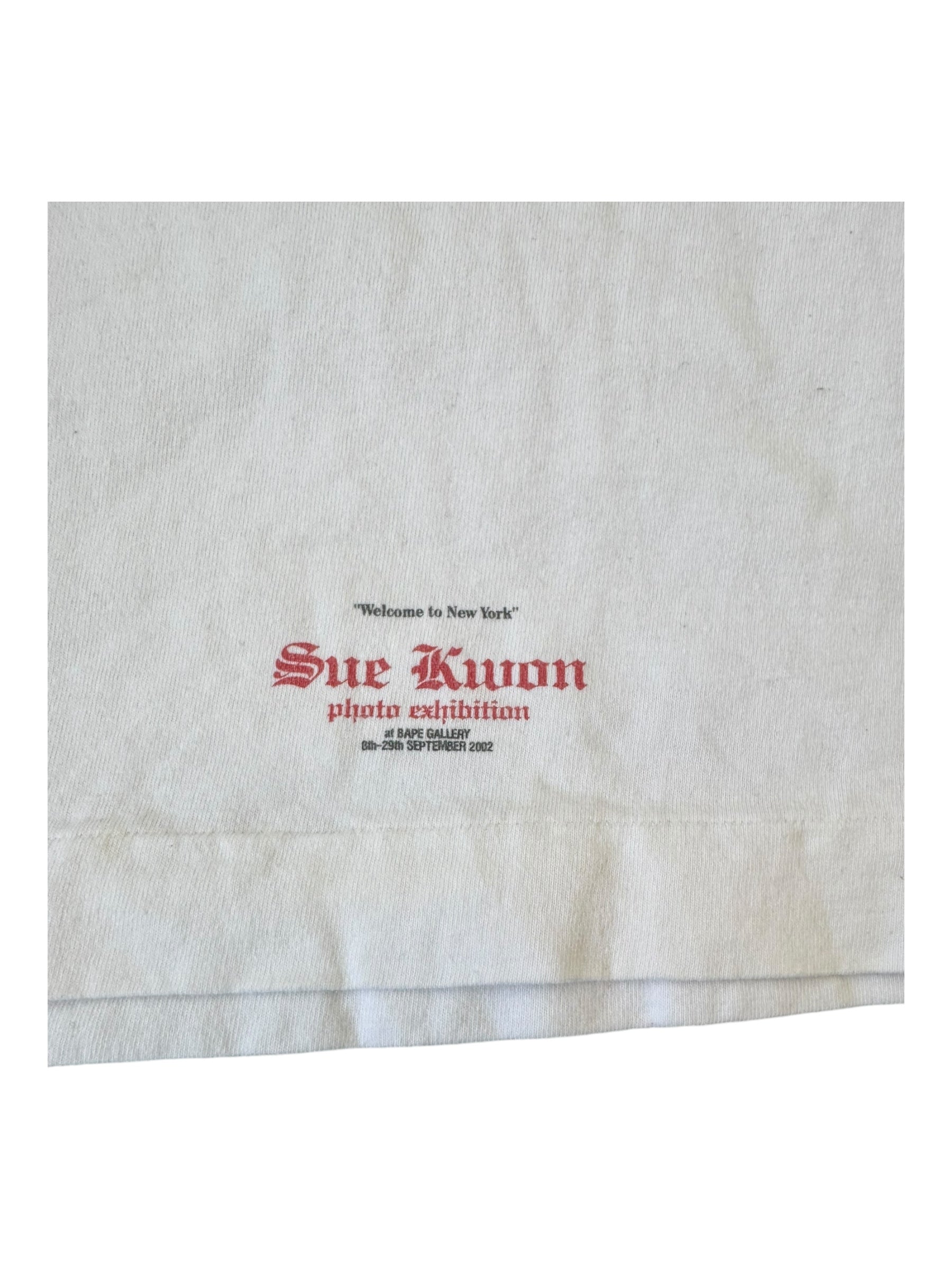 Bape 2002 Bape Gallery Sue Kwon Photo Exhibition Size Large